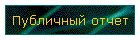Публичный отчет